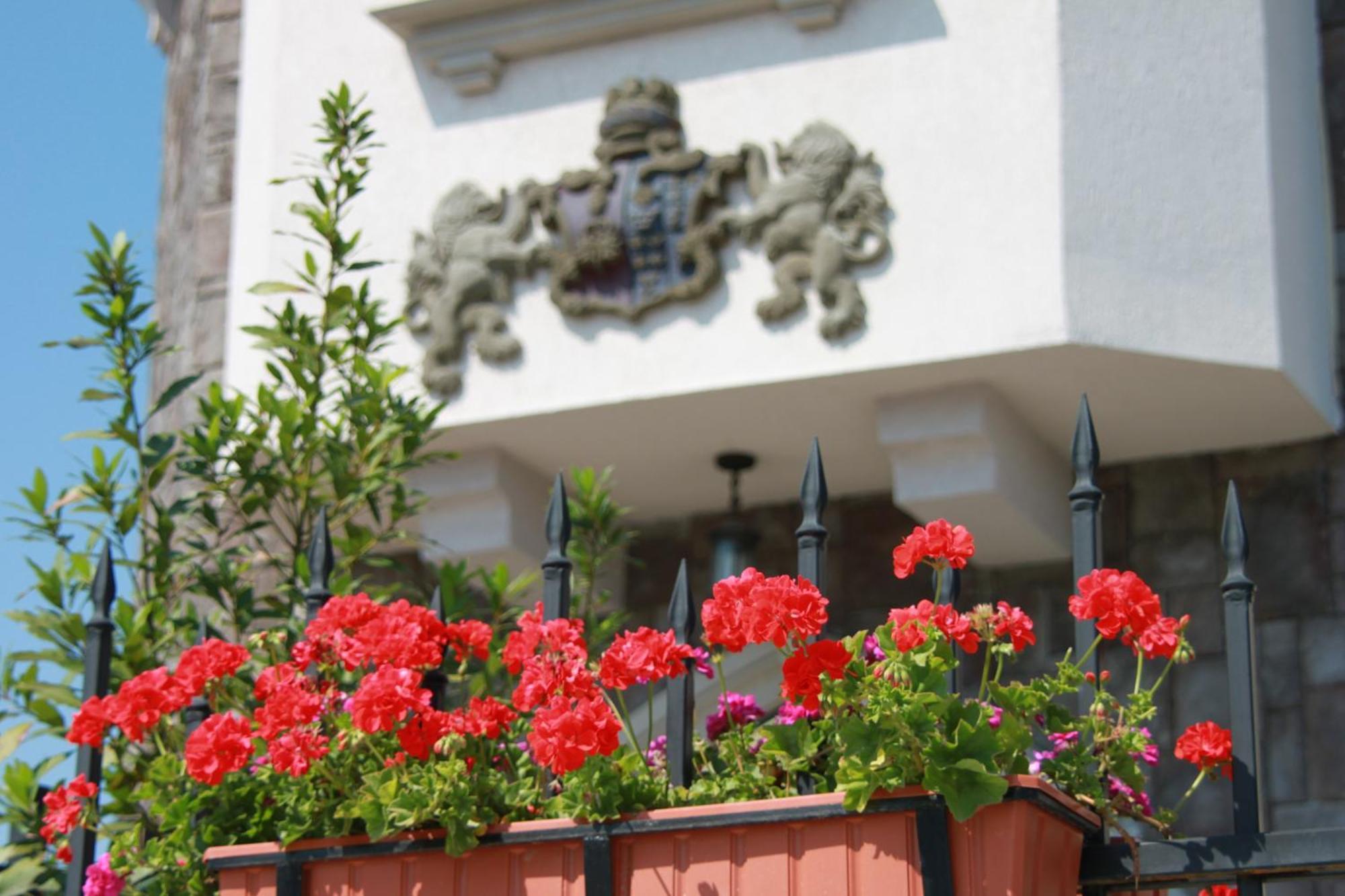 Hotel Lacetate Piteszti Zewnętrze zdjęcie